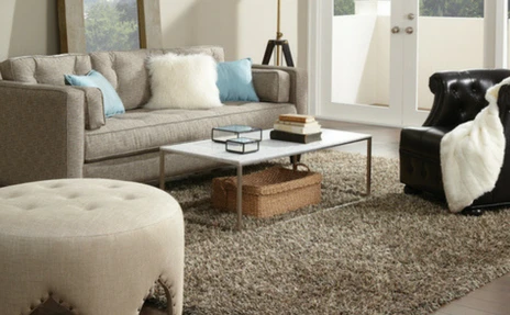 area rug in living room